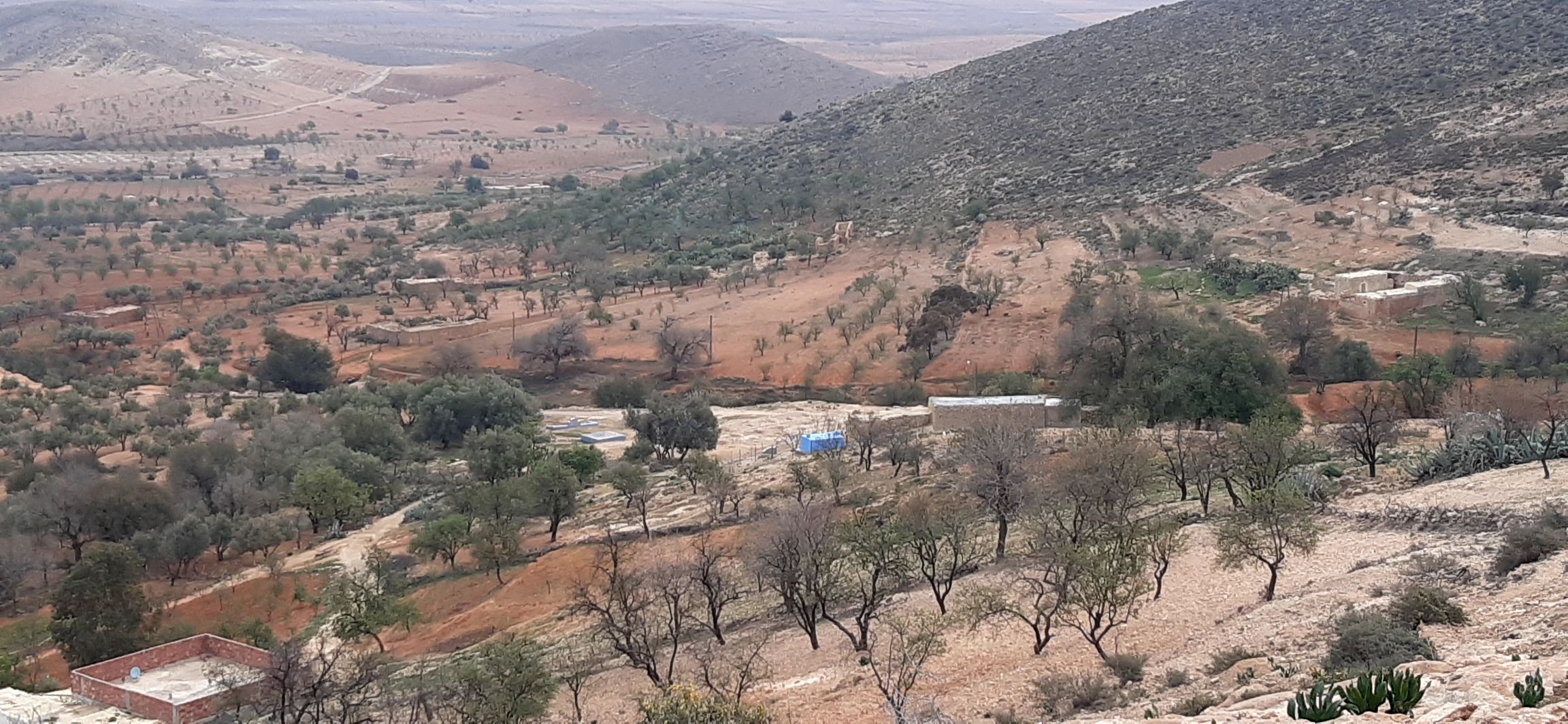     لولوت _ الجبل
                      